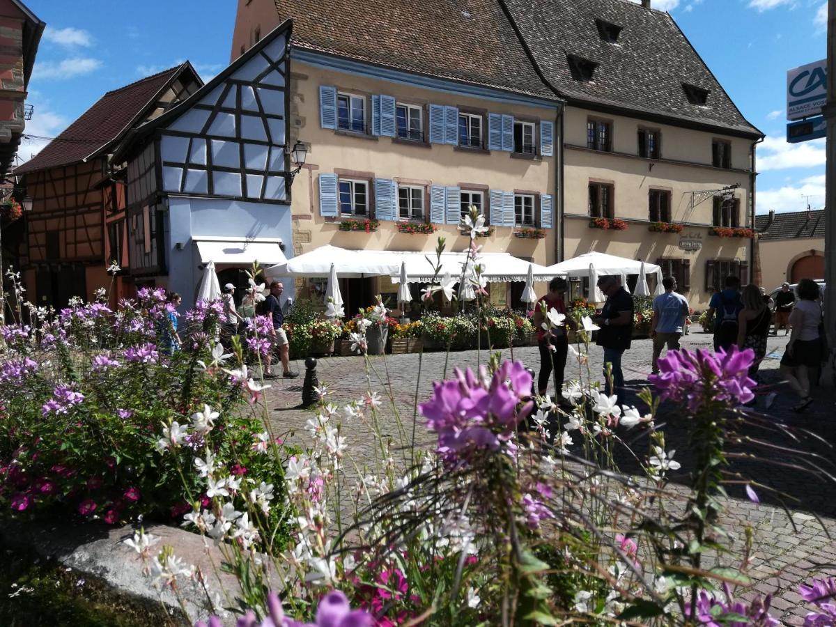 Gites Au Chateau Fleuri Eguisheim Exteriör bild