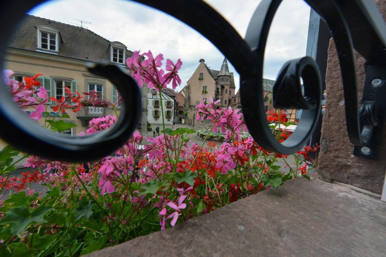 Gites Au Chateau Fleuri Eguisheim Rum bild